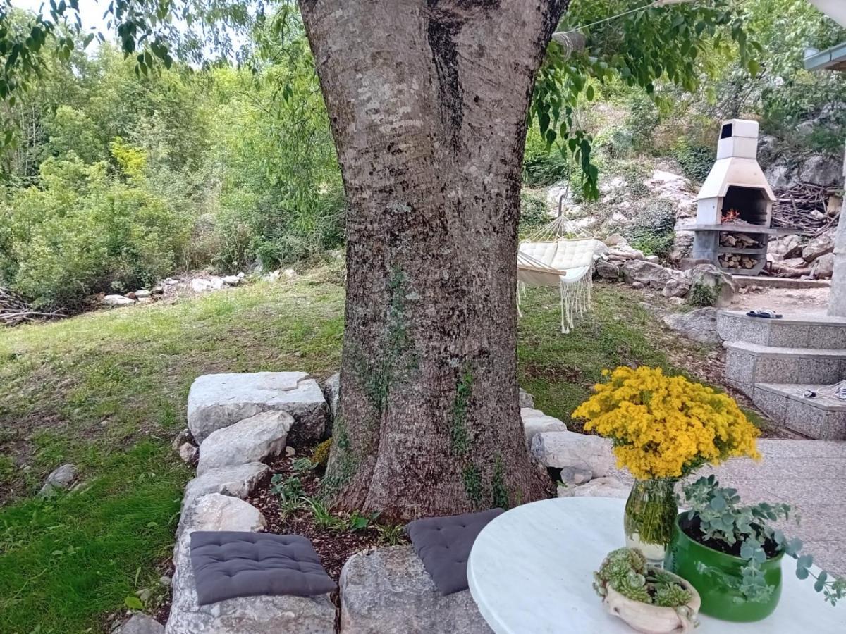 Holiday Home Mimara Korusce Exterior photo